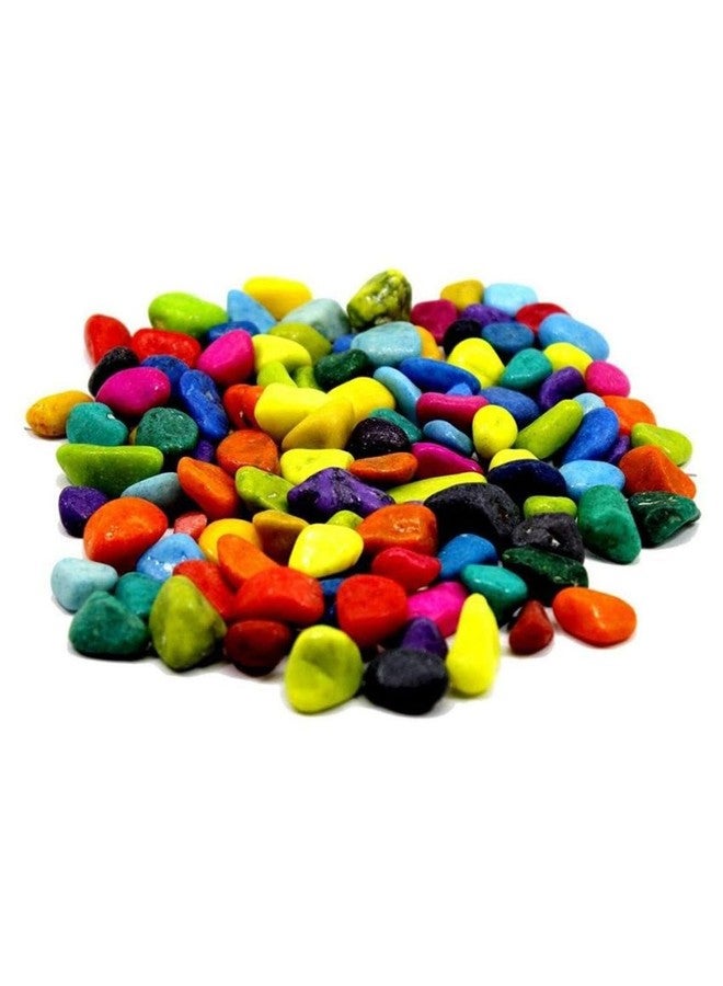 Somil Multicolor Pebbles/Stones for Garden, Plants, Lawns, Aquariums, Fish Pots, Home Decor, Vases, Furniture Filler. Size: 10-30mm, Shiny Multicolor -A674 - Image 1